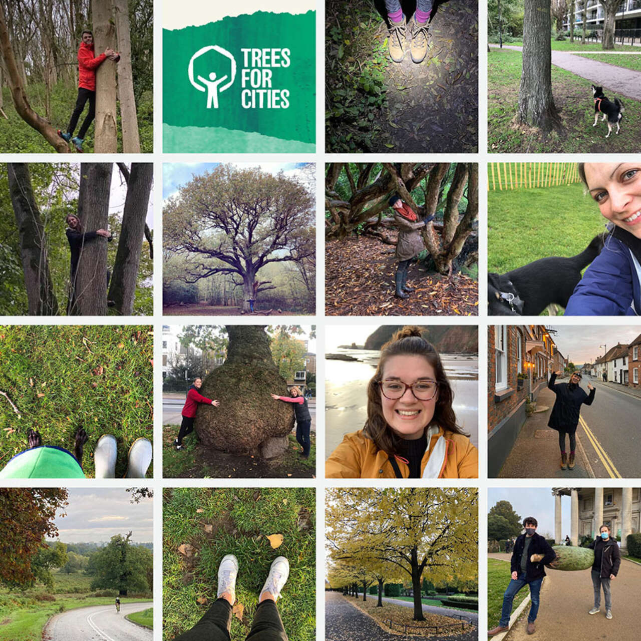 Charity Challenge Delivers New Trees for London