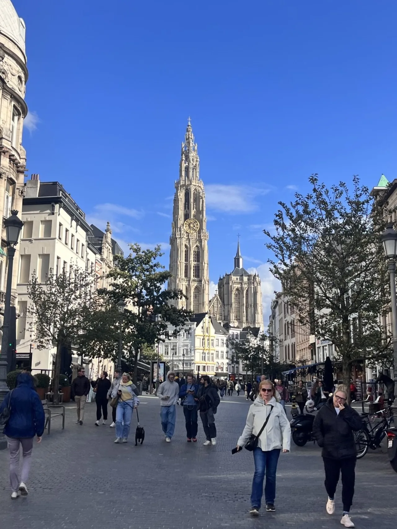 Architects in Antwerp